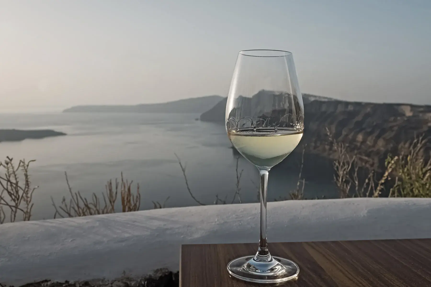 Wine Tours