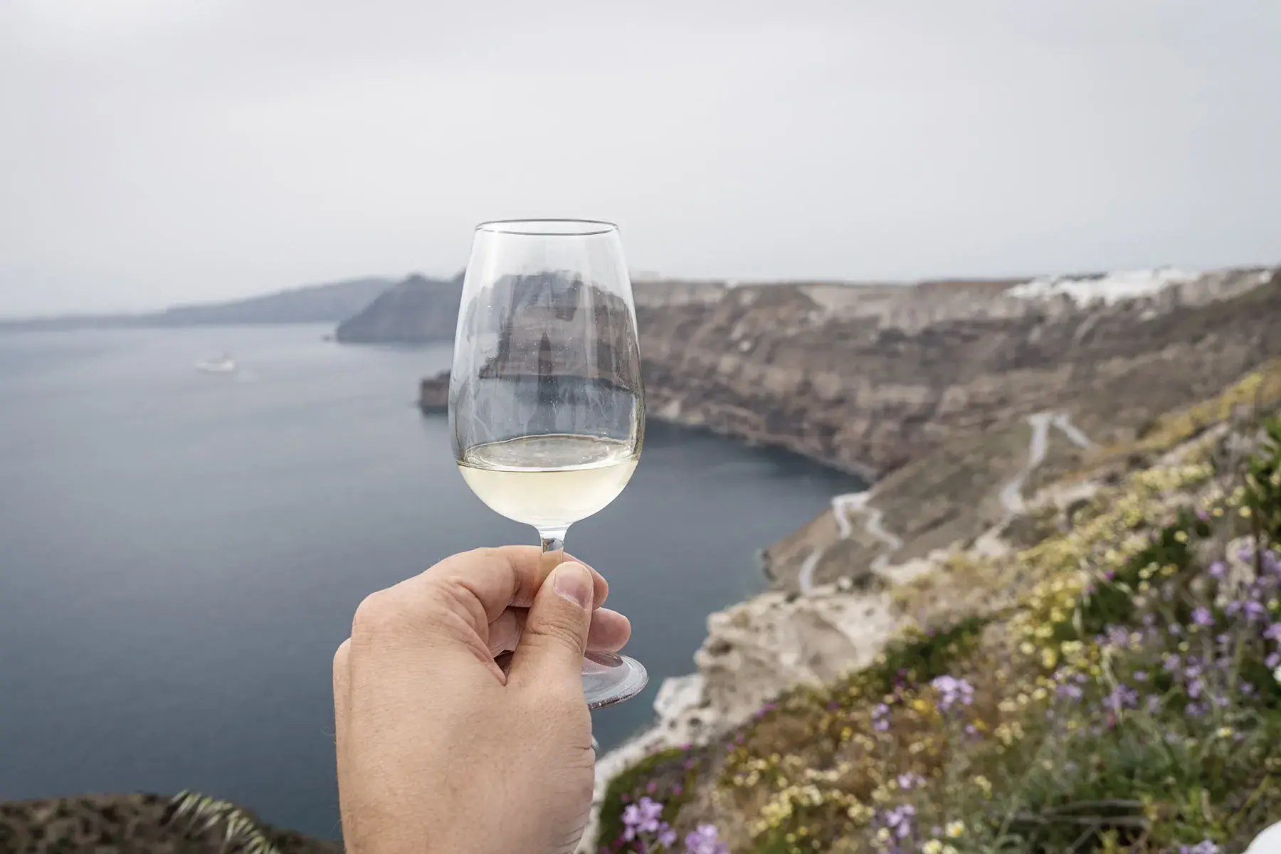 Wine Tours