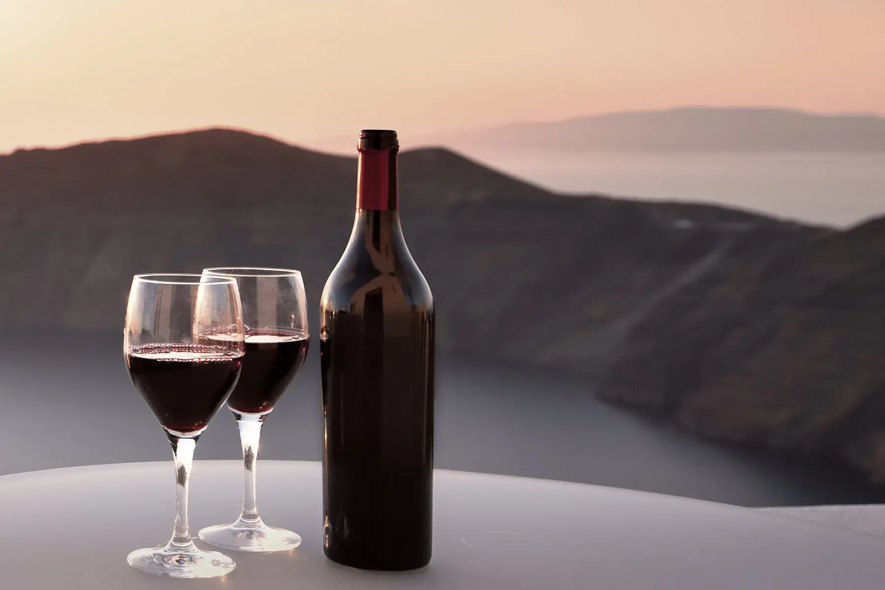 Wine Tours